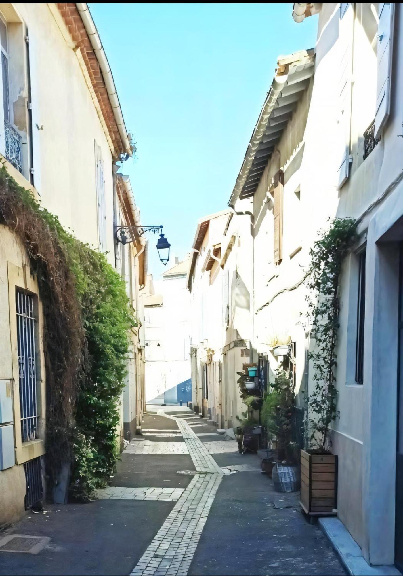 L'Appartement De La Roquette Centre Historique Arles Dış mekan fotoğraf